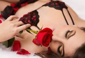 ELITE ESCORT SERVICES